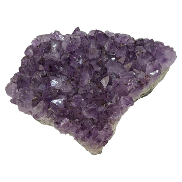 Amethyst Cluster Specimen (XL Brazilian)