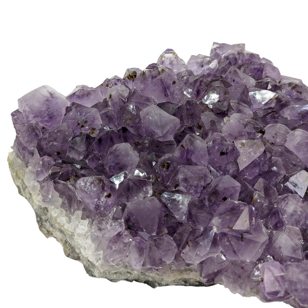 Amethyst Cluster Specimen (XL Brazilian)