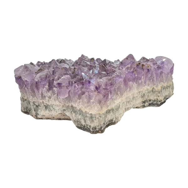 Amethyst Cluster Specimen (XL Brazilian)