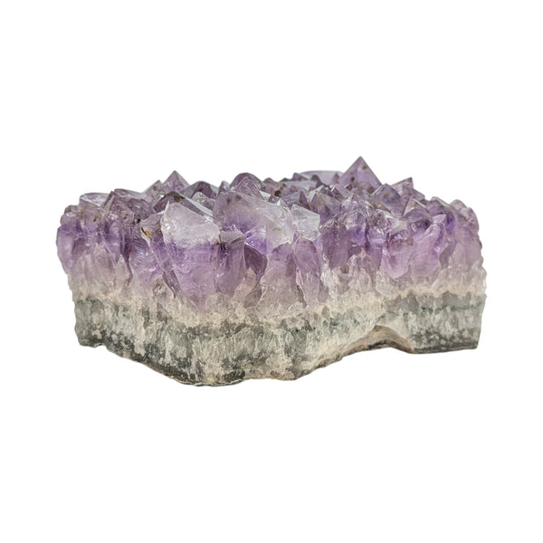 Amethyst Cluster Specimen (XL Brazilian)