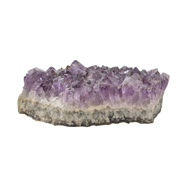 Amethyst Cluster Specimen (XL Brazilian)