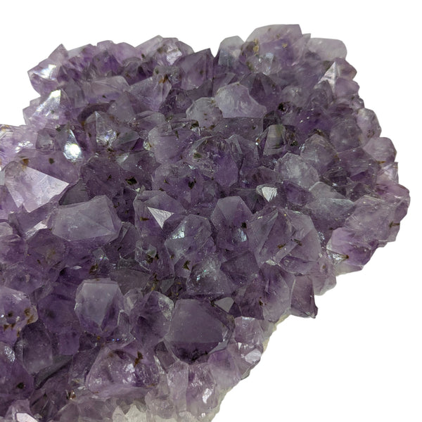 Amethyst Cluster Specimen (XL Brazilian)