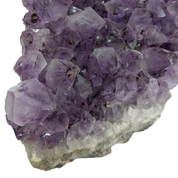 Amethyst Cluster Specimen (XL Brazilian)