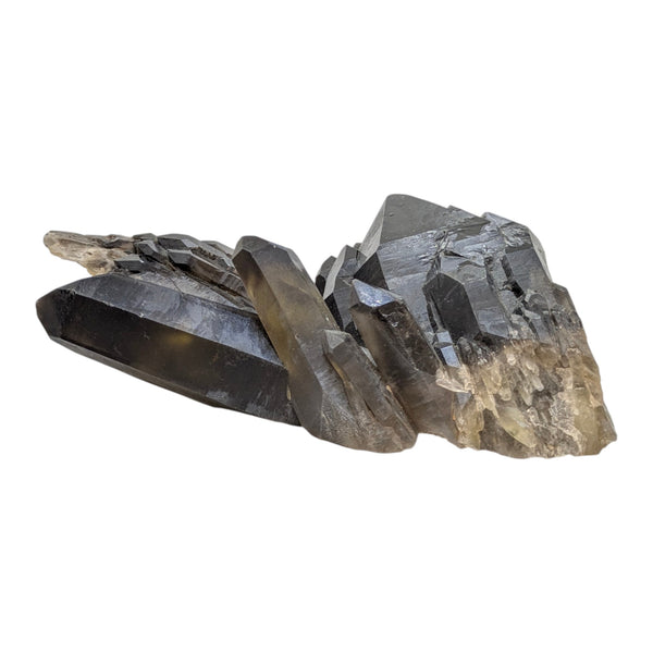 Smoky Quartz Cluster (Large)