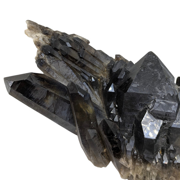 Smoky Quartz Cluster (Large)