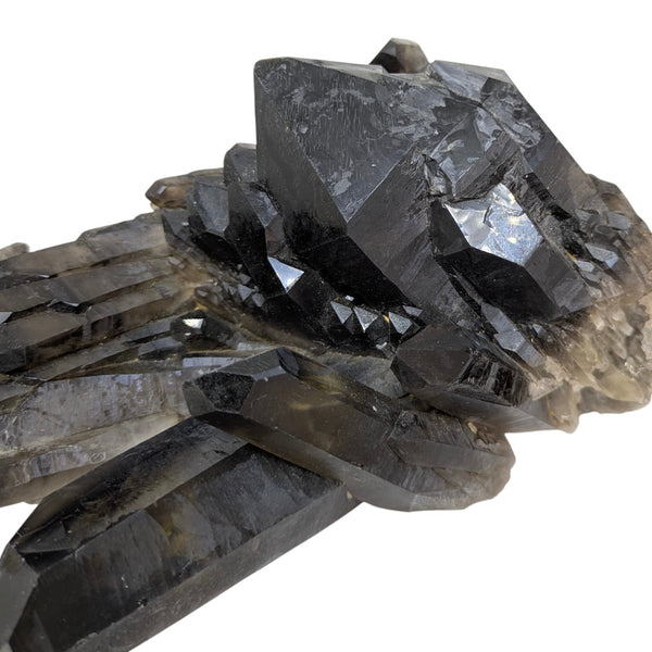 Smoky Quartz Cluster (Large)
