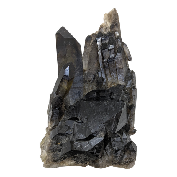 Smoky Quartz Cluster (Large)