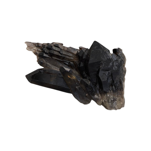Smoky Quartz Cluster (Large)