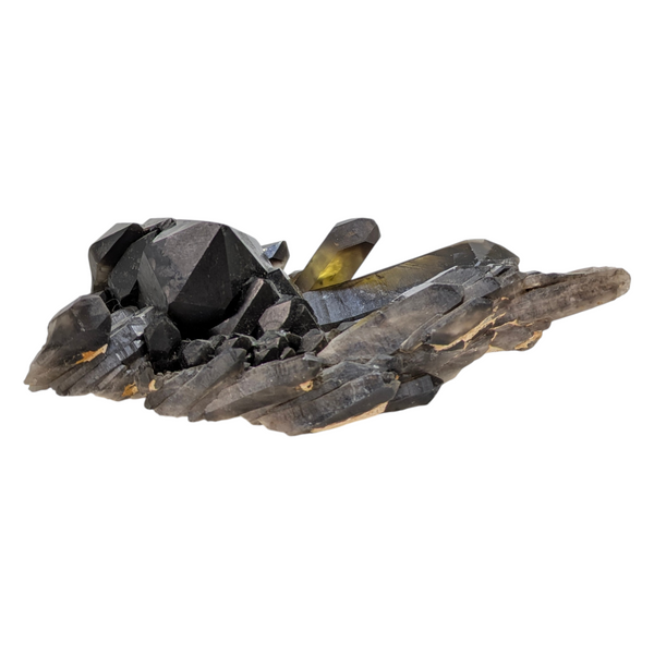 Smoky Quartz Cluster (Large)
