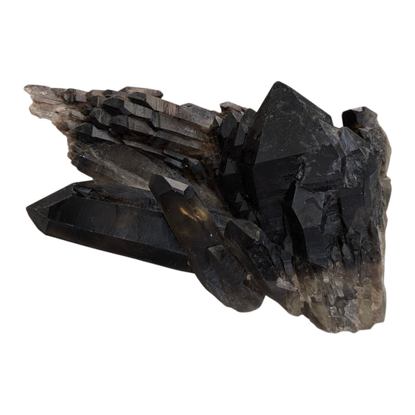 Smoky Quartz Cluster (Large)
