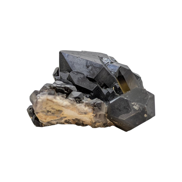 Smoky Quartz Cluster (Large)