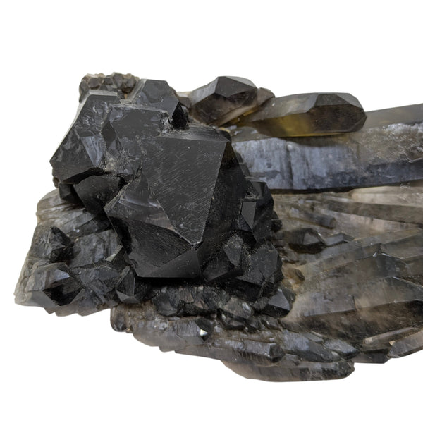 Smoky Quartz Cluster (Large)