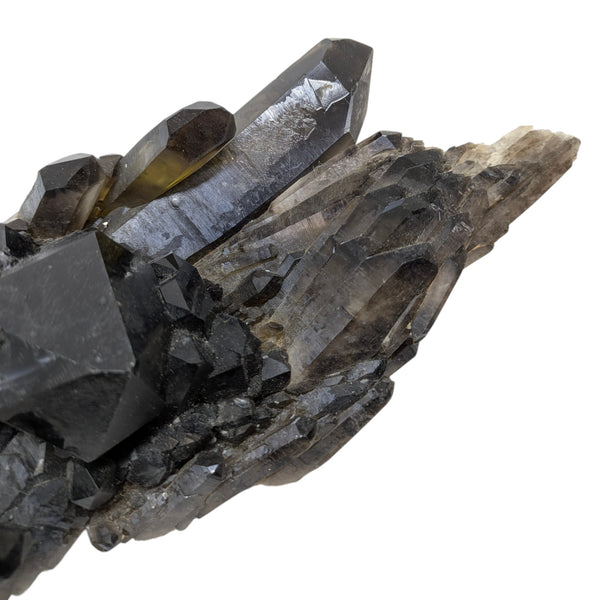 Smoky Quartz Cluster (Large)