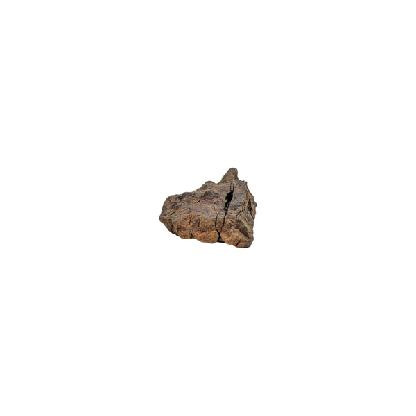 NWA Stony Iron Meteorite