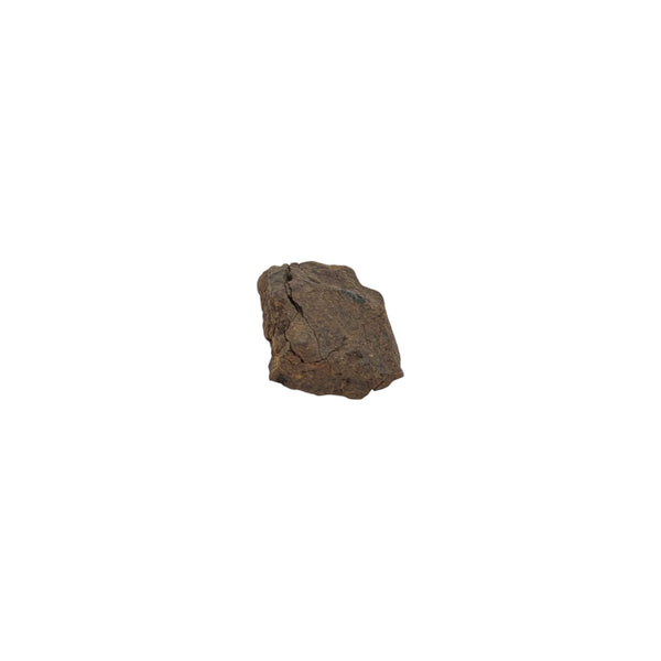 NWA Stony Iron Meteorite