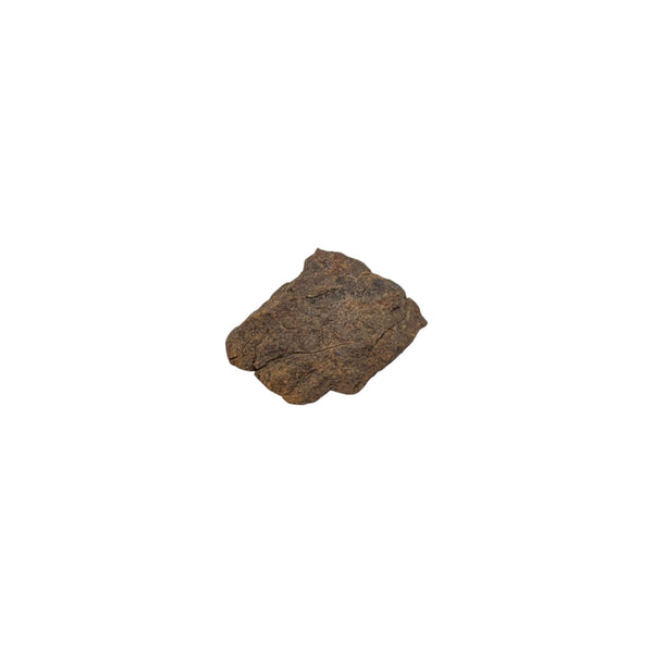 NWA Stony Iron Meteorite 14g