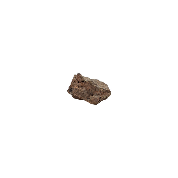 NWA Mesosiderite Specimen