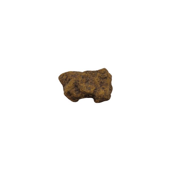Small NWA Stony Iron Meteorite Fragment