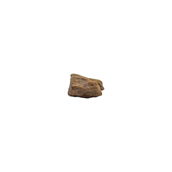 Ultra-Rare Stony-Iron Meteorite Fragment