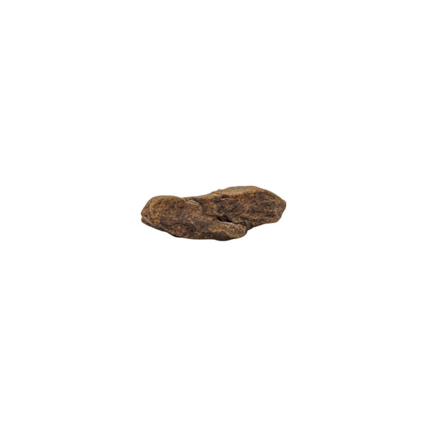 An elongated, sleek individual piece of NWA Stony Iron Meteorite, reaching a full 3cm in length, it has a beautiful sculptural quality that showcases the raw, violent fracturing caused when its parent asteroid shattered.