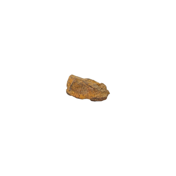 Small Fragment of the Nantan Meteorite 