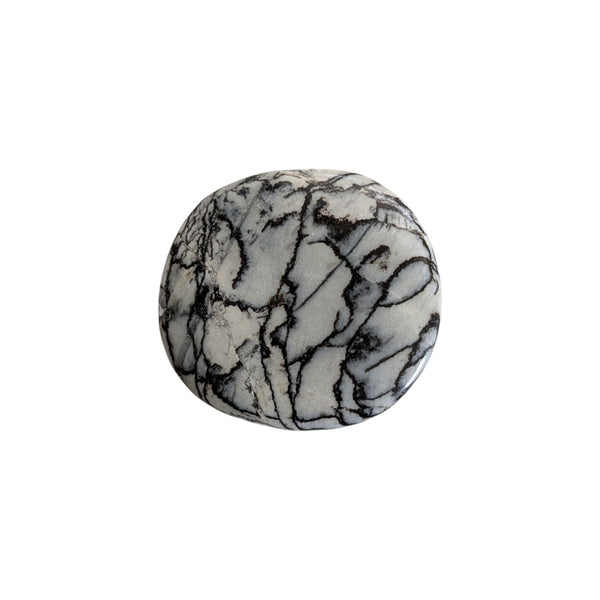 spider web jasper palmstone, grey/white background with many black lines across the stone. 