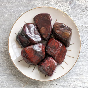 Mary Ellen Stromatolite Tumblestone