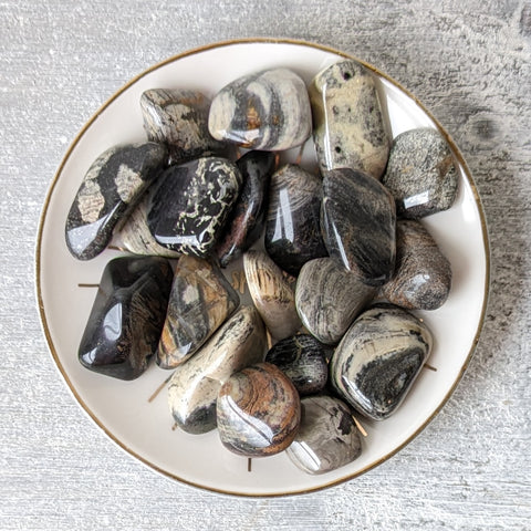 Silver Leaf Jasper Tumblestone