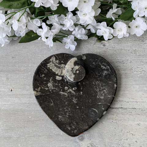 Small Orthoceras Heart Dish