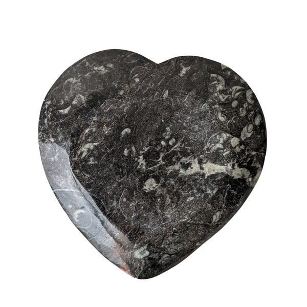 Orthoceras Heart Shaped Dish
