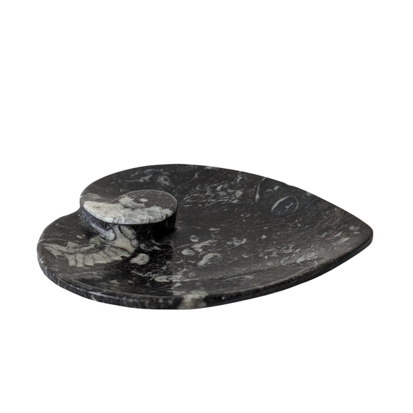 Orthoceras Heart Shaped Dish
