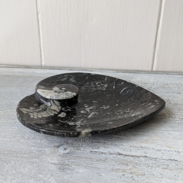 Small Orthoceras Heart Dish