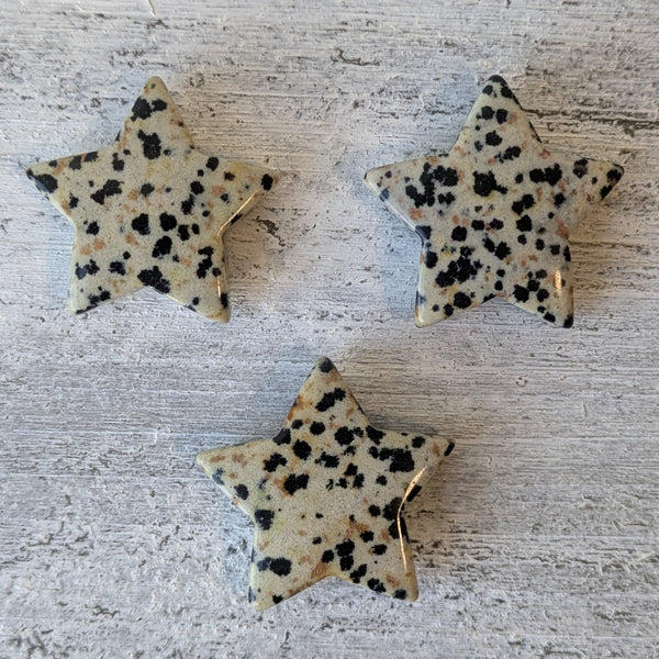 Dalmatian Jasper Star