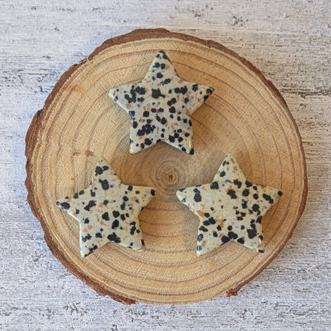 Dalmatian Jasper Star