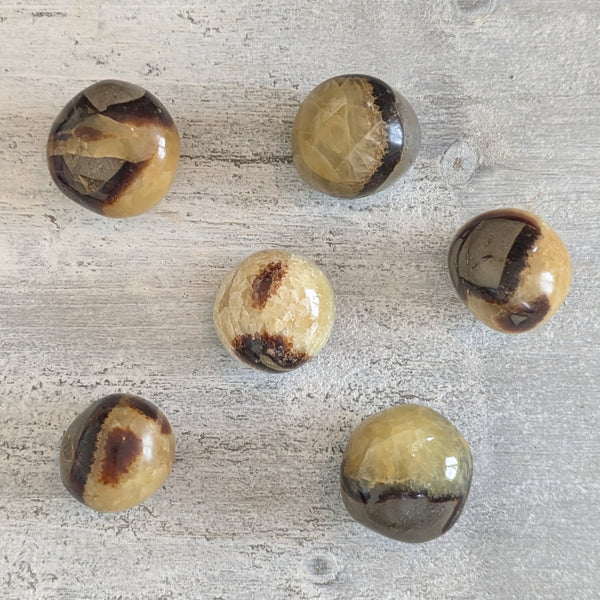 Septarian Tumblestone