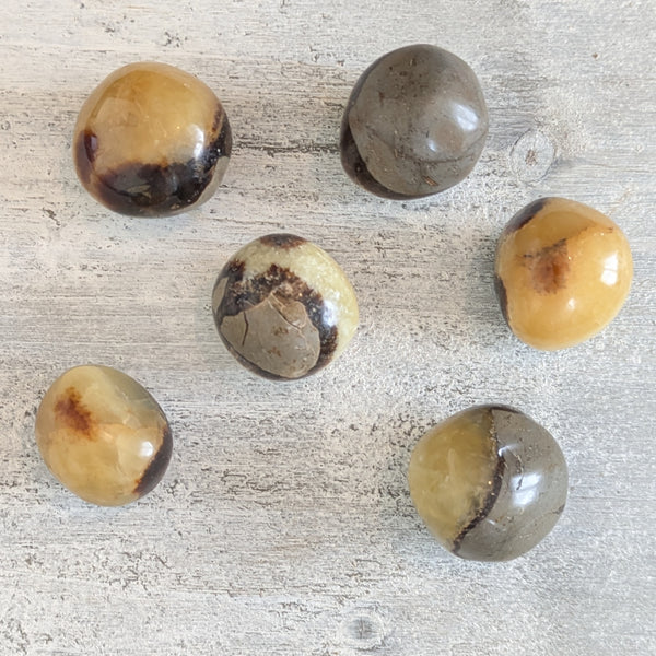 Septarian Tumblestone