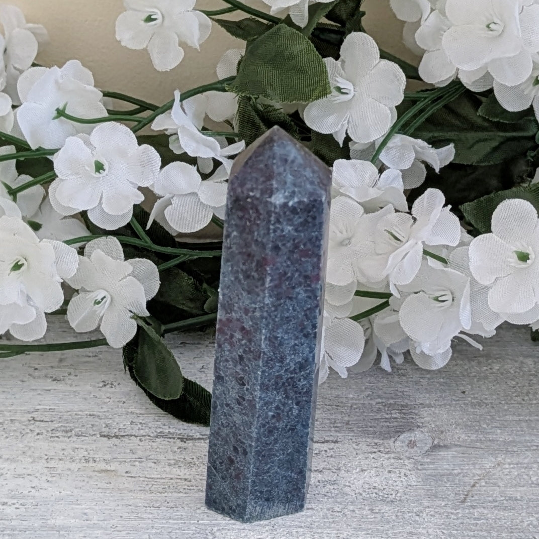 Ruby in Kyanite Generator Point