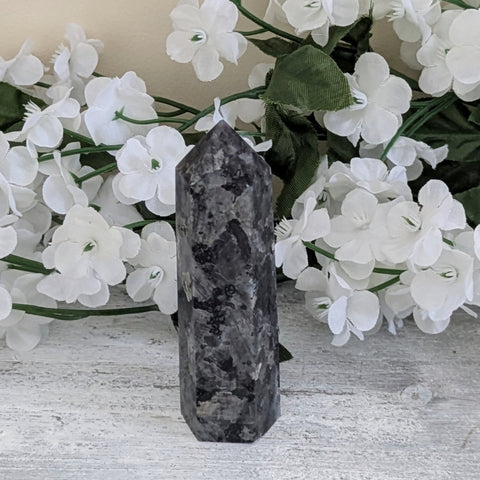 Larvikite Generator Point