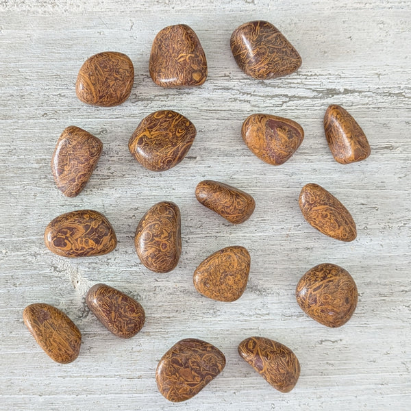 Mariam (Miriam) Tumblestone