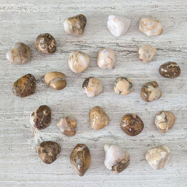 Spotted Agate Tumblestone