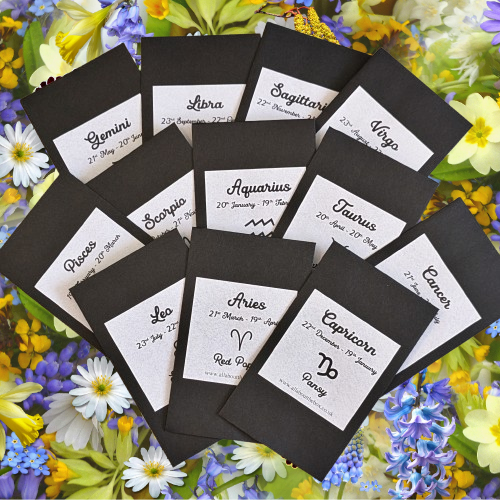 Gemini Seed Gift - Lavender
