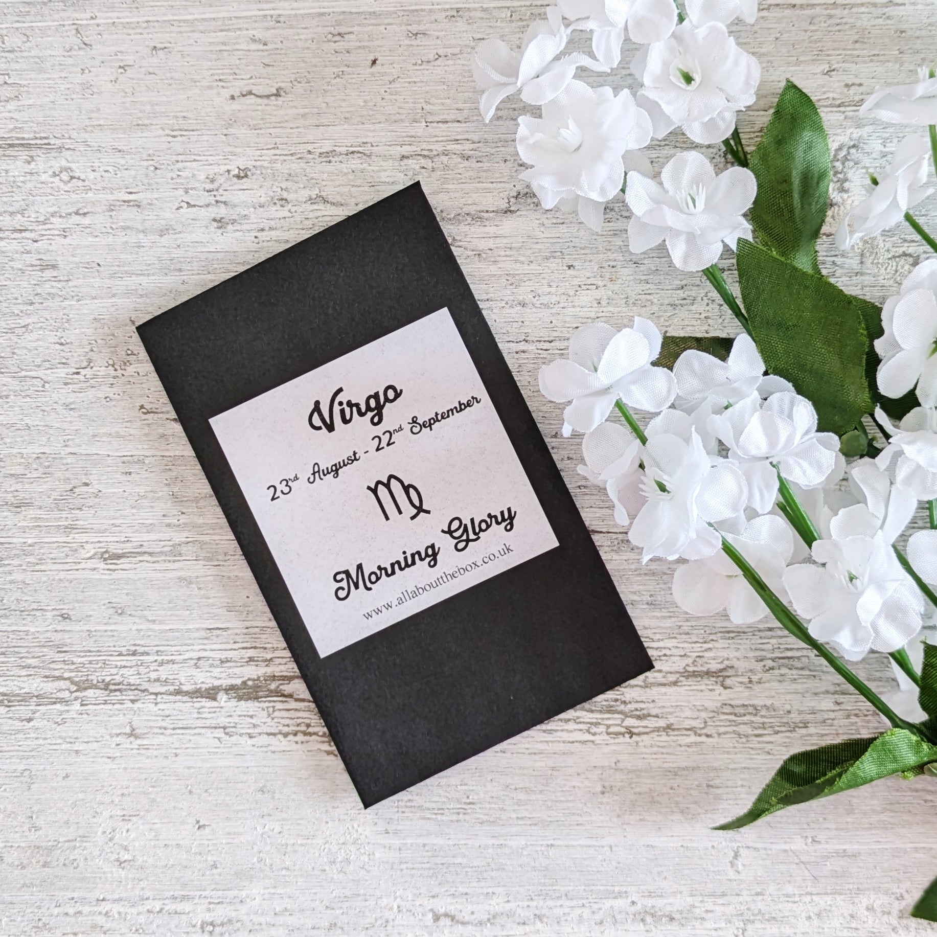Virgo Seed Gift - Morning Glory