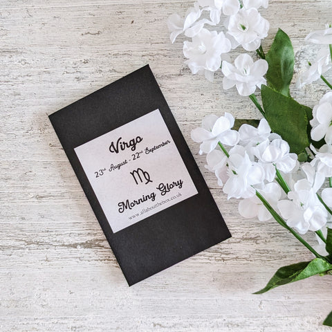 Virgo Seed Gift - Morning Glory