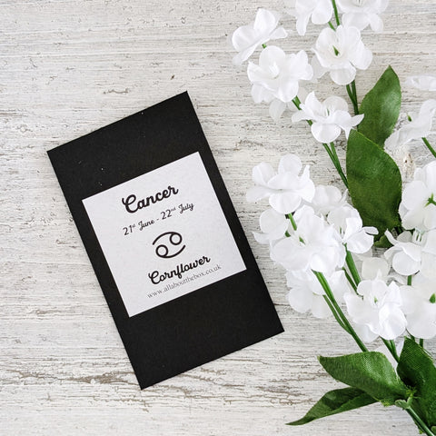 Cancer Seed Gift - Blue Cornflower
