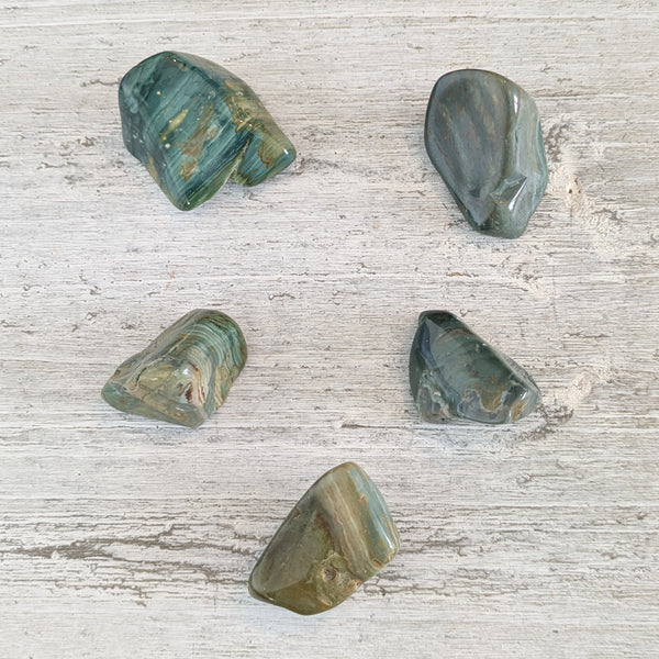 Green Petrified Wood Tumblestone