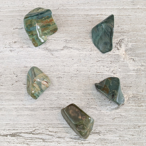 Green Petrified Wood Tumblestone