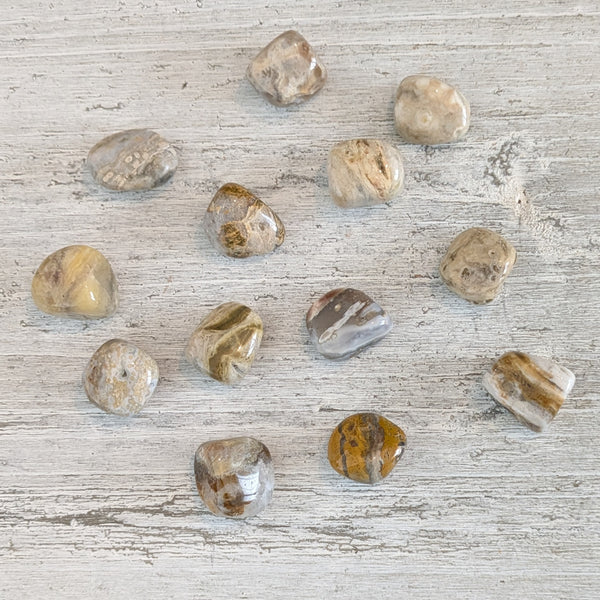 Ocean Jasper Tumblestone