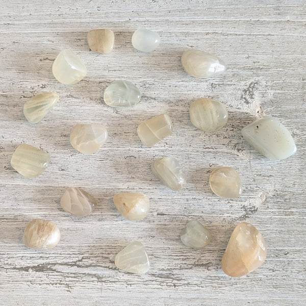 Moonstone (Natural) Tumblestone