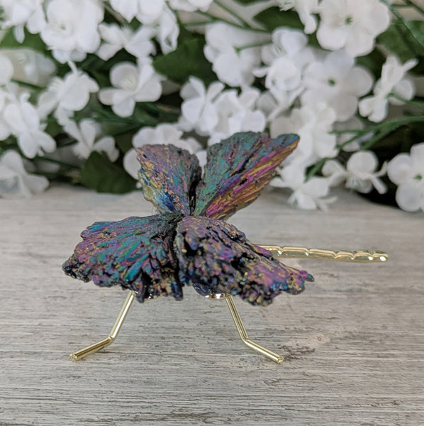 Kyanite Aura Dragonfly - Sold As Seen