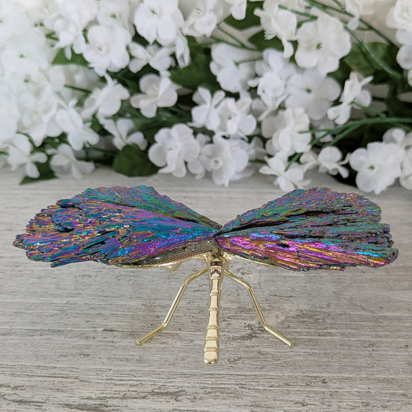 Kyanite Aura Dragonfly - Sold As Seen